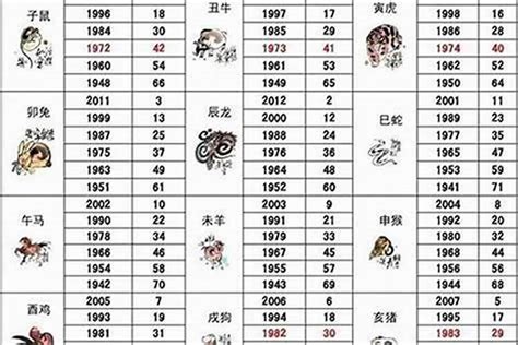 05年属|2005年属什么生肖 2005年属什么的生肖